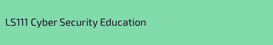 LS111 Cyber Security Education